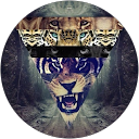 Services 11 Mar Llongueras profile picture